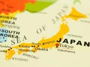 Japanese occupation of Indonesia